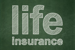 Insurance concept: text Life Insurance on Green chalkboard background