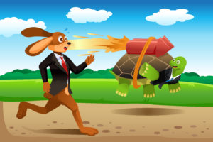 Tortoise And Hare Racing